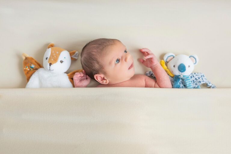 photographe naissance ancenis