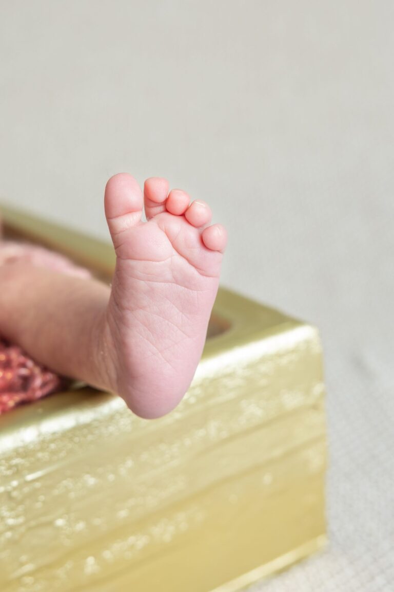photographe naissance ancenis